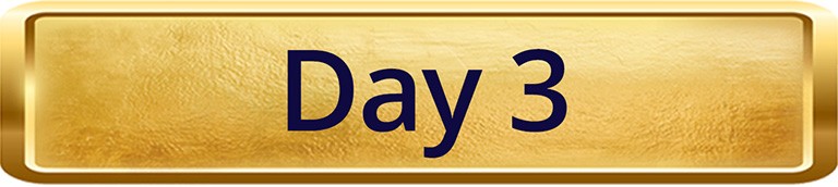Day 3